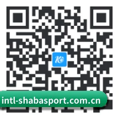 Android 系统版 二维码